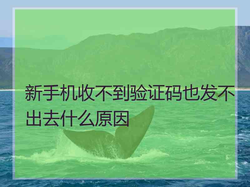 新手机收不到验证码也发不出去什么原因