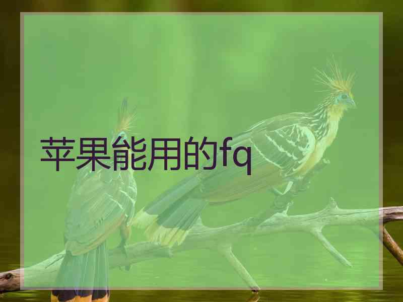 苹果能用的fq