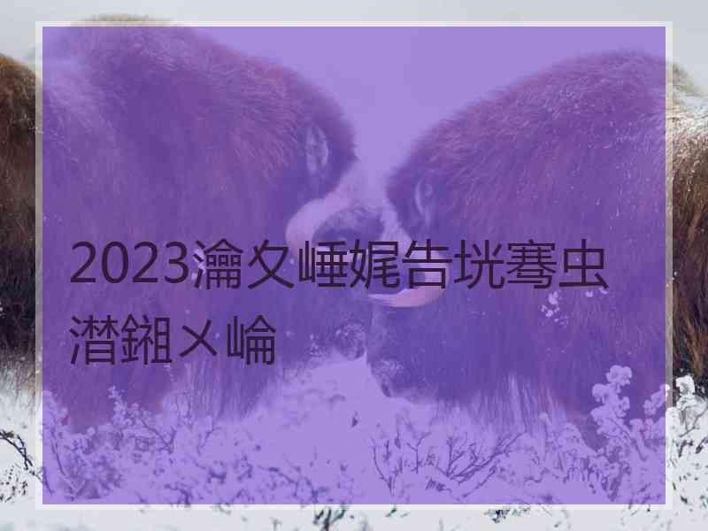 2023瀹夊崜娓告垙骞虫澘鎺ㄨ崘