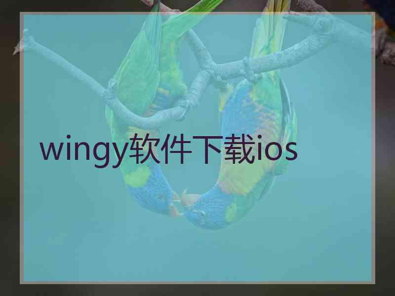 wingy软件下载ios