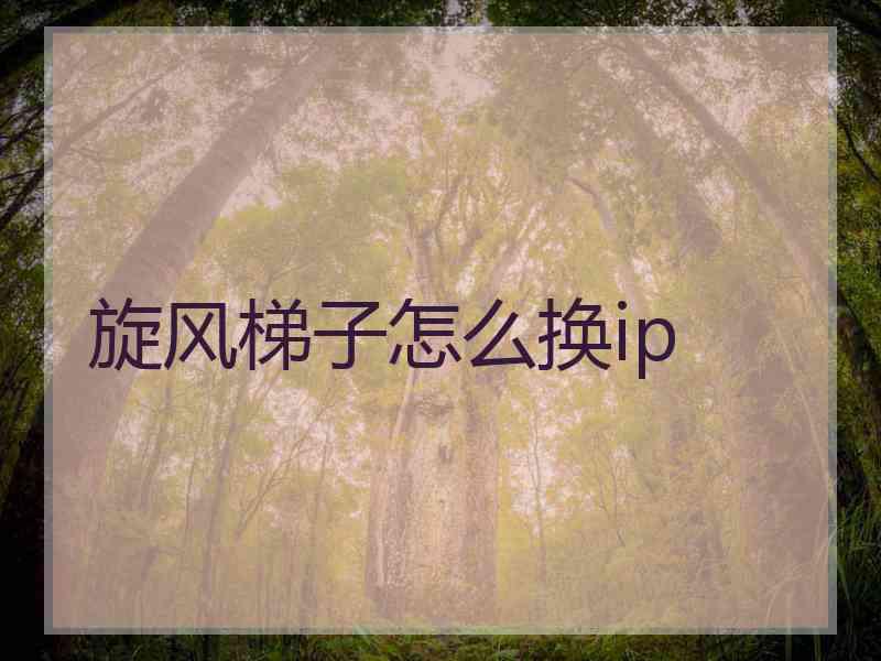 旋风梯子怎么换ip