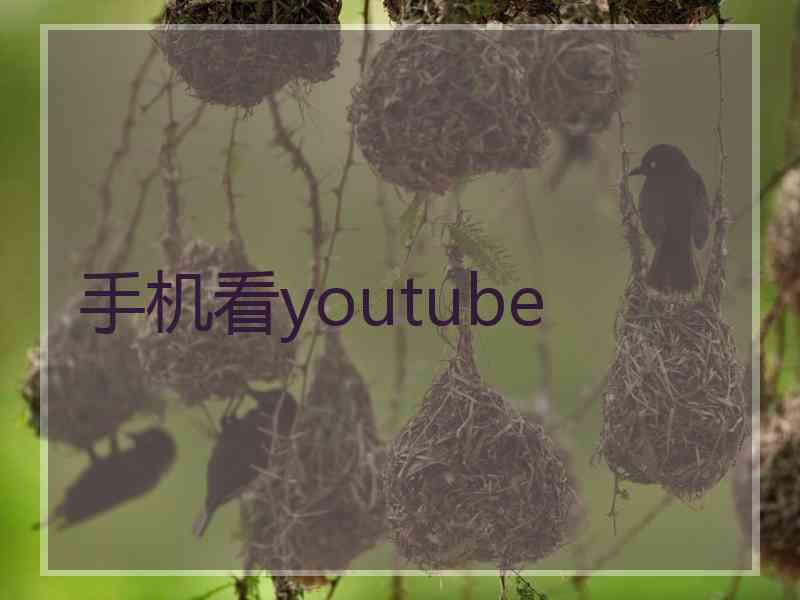 手机看youtube