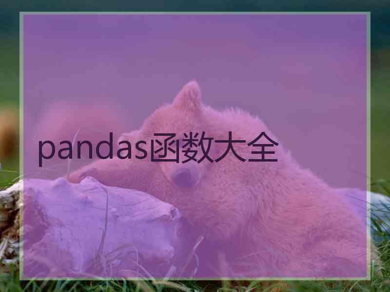 pandas函数大全