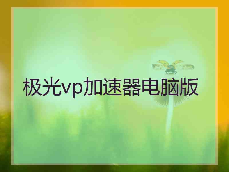 极光vp加速器电脑版