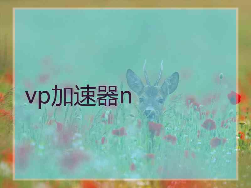 vp加速器n