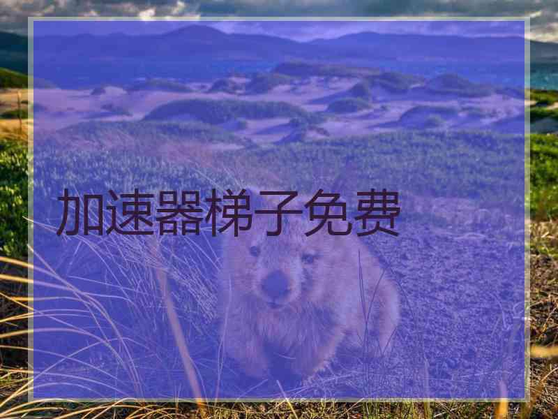 加速器梯子免费