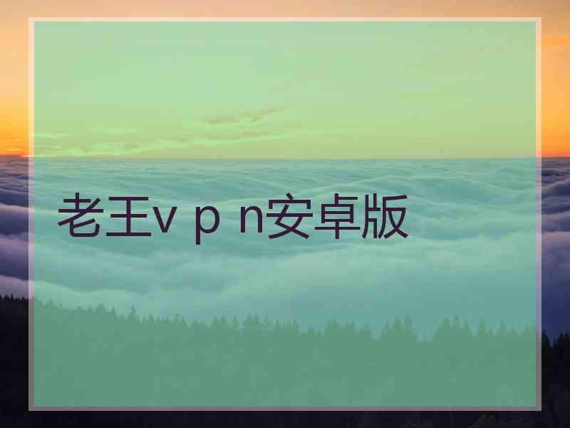 老王v p n安卓版