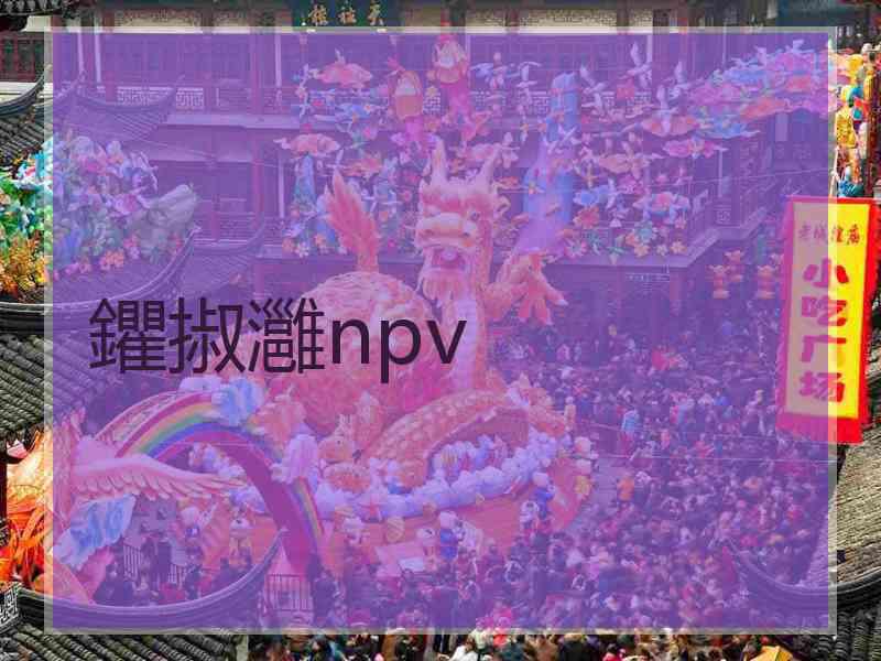 鑺掓灉npv