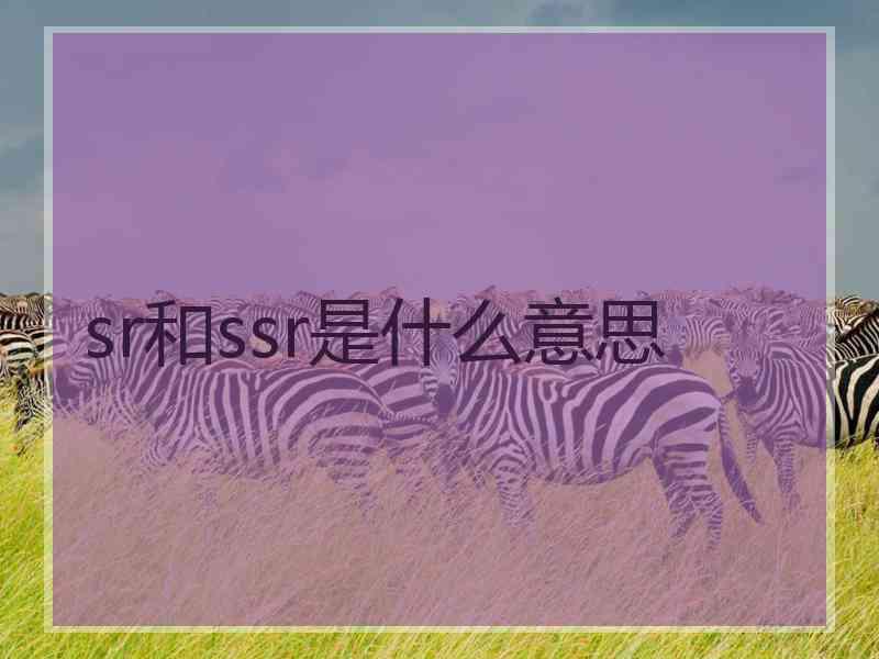 sr和ssr是什么意思