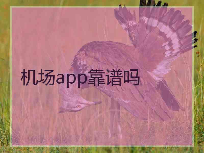 机场app靠谱吗