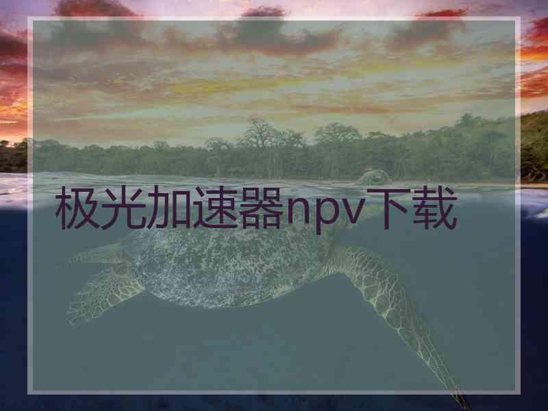 极光加速器npv下载