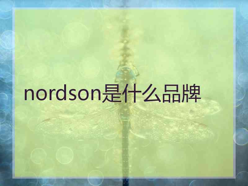 nordson是什么品牌