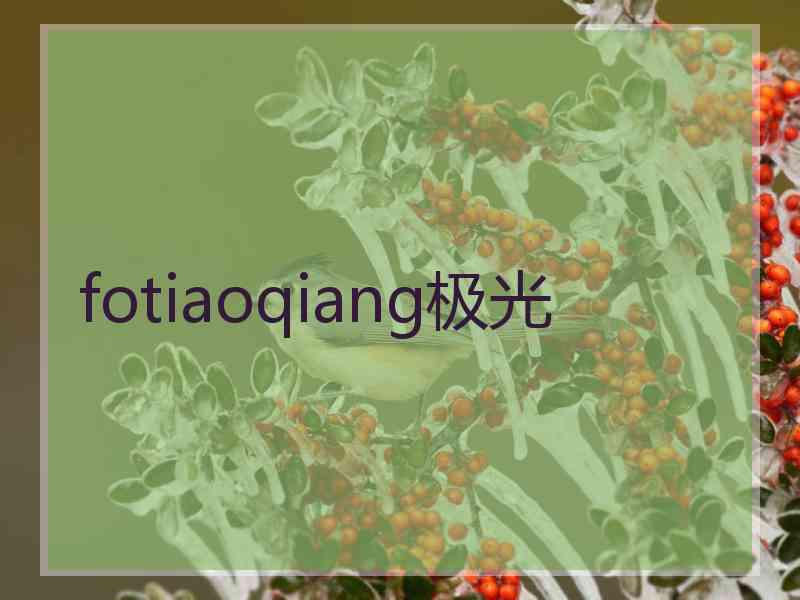 fotiaoqiang极光