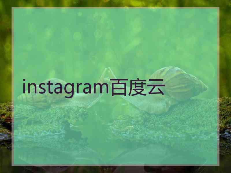 instagram百度云