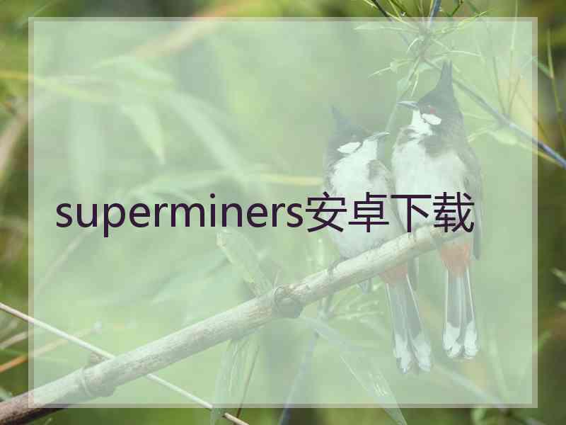 superminers安卓下载