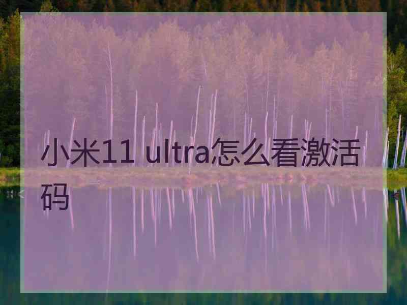 小米11 ultra怎么看激活码