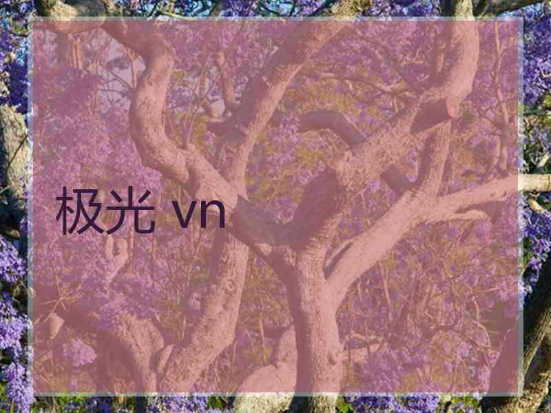 极光 vn