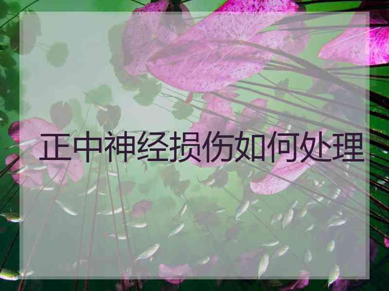 正中神经损伤如何处理