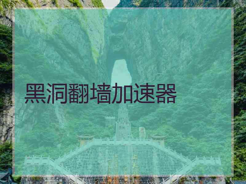 黑洞翻墙加速器