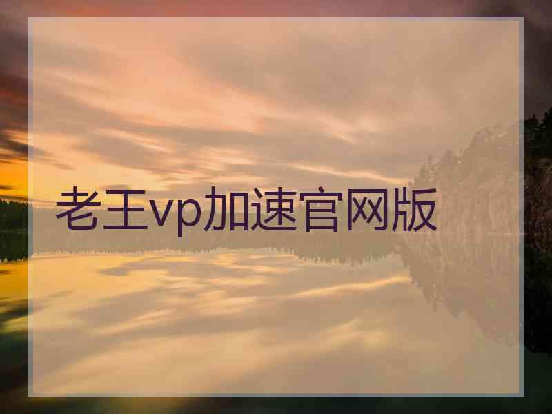 老王vp加速官网版