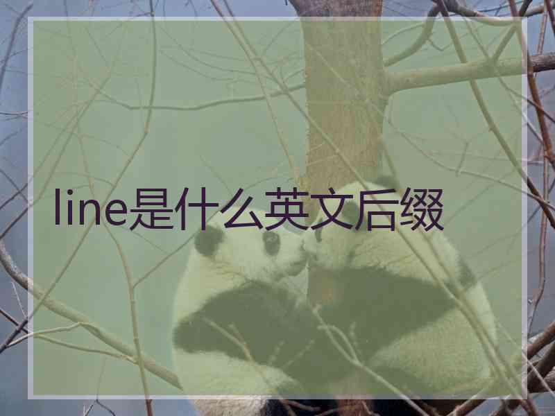 line是什么英文后缀