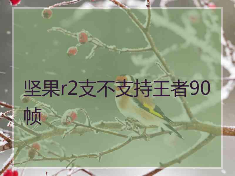 坚果r2支不支持王者90帧