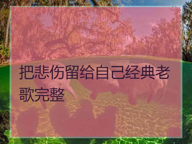 把悲伤留给自己经典老歌完整