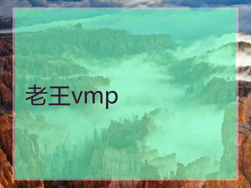 老王vmp