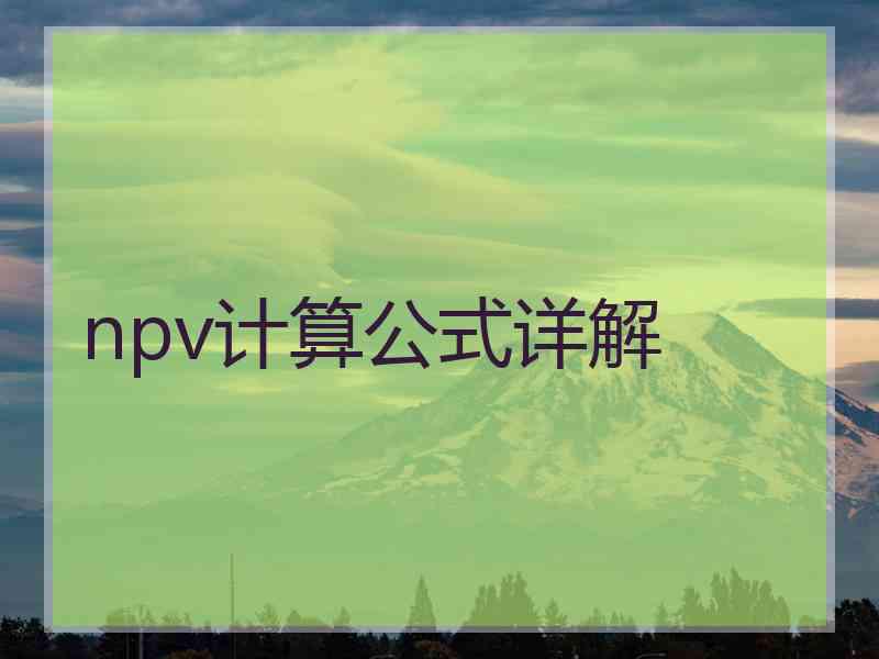 npv计算公式详解