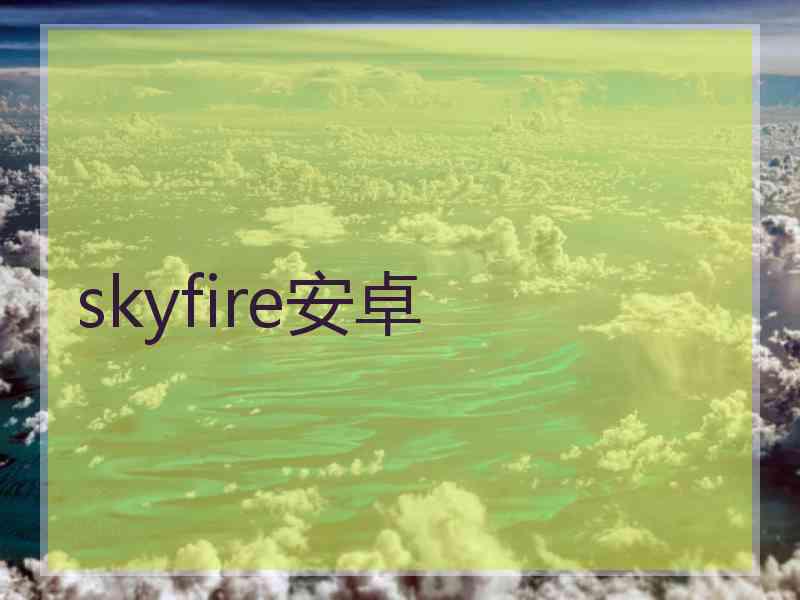 skyfire安卓