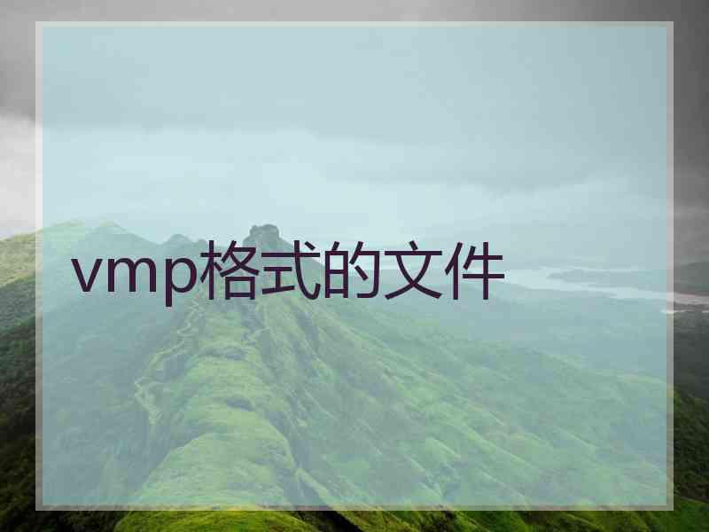 vmp格式的文件