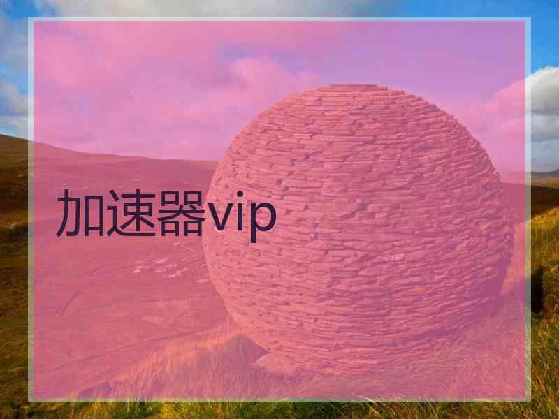 加速器vip