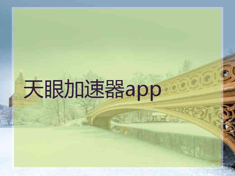 天眼加速器app