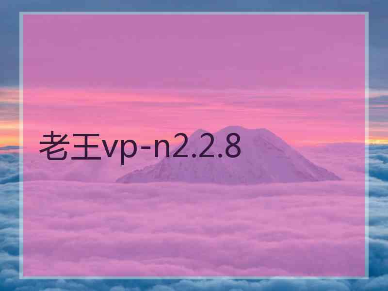 老王vp-n2.2.8