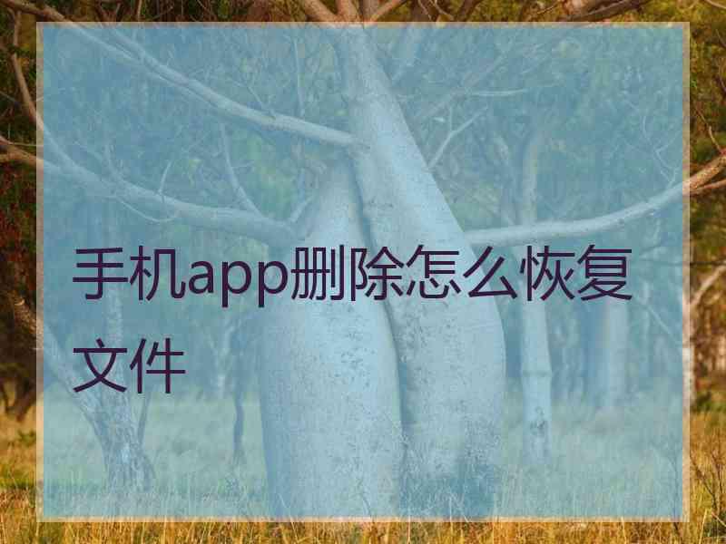 手机app删除怎么恢复文件