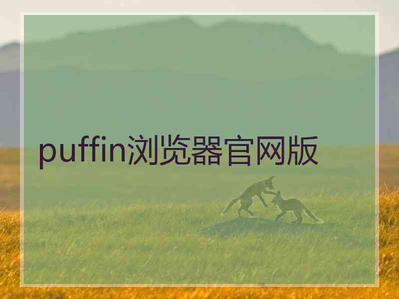 puffin浏览器官网版