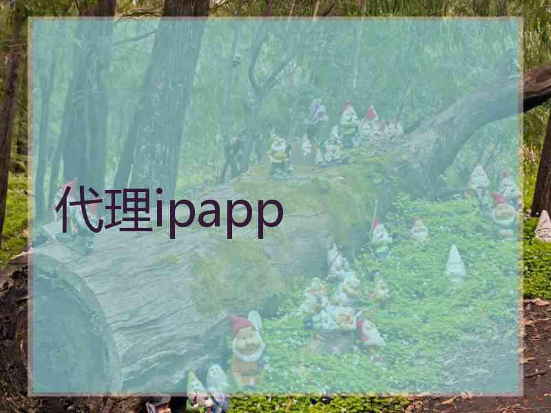 代理ipapp