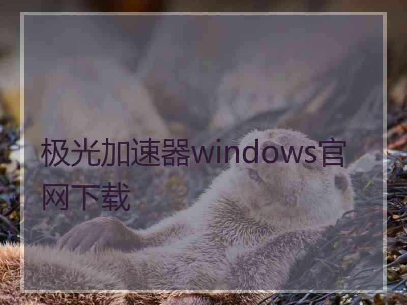 极光加速器windows官网下载