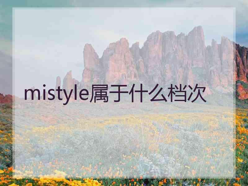 mistyle属于什么档次