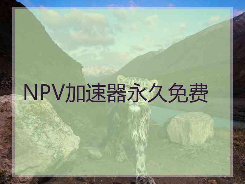 NPV加速器永久免费