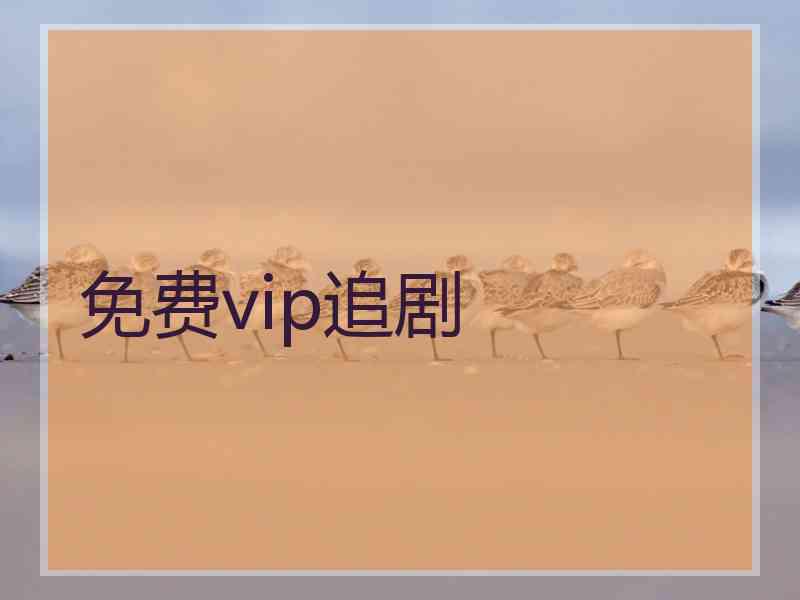 免费vip追剧