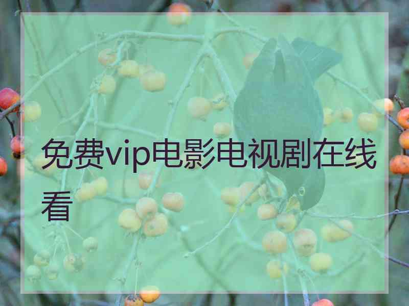 免费vip电影电视剧在线看