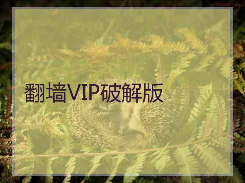 翻墙VIP破解版