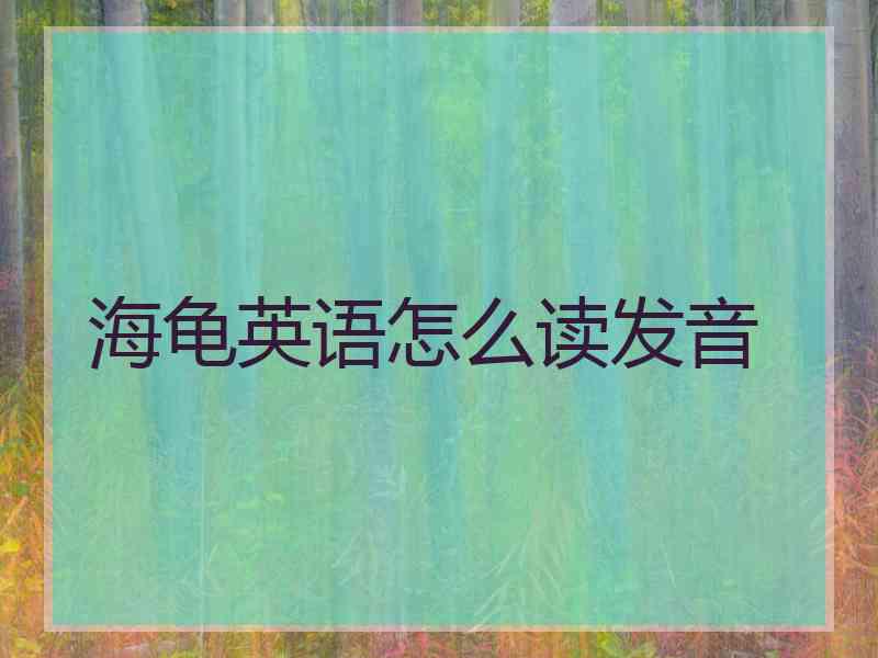 海龟英语怎么读发音