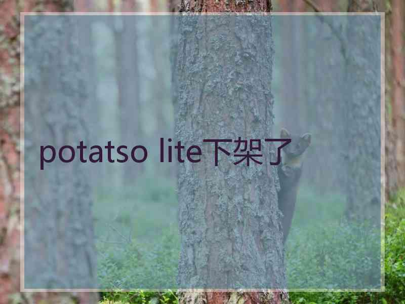 potatso lite下架了