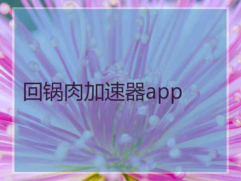 回锅肉加速器app