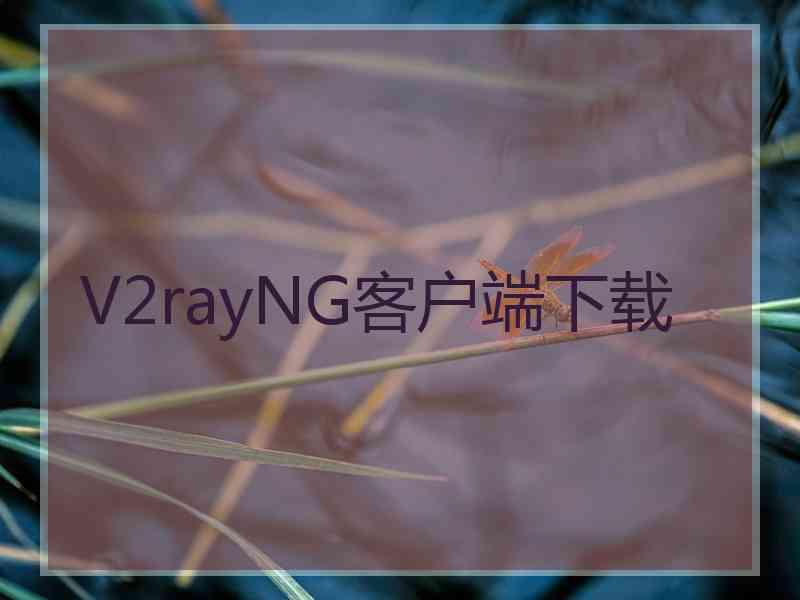 V2rayNG客户端下载