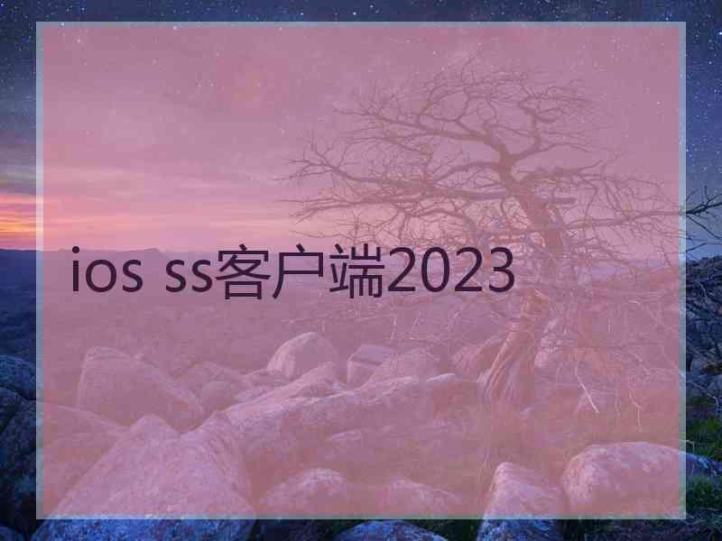 ios ss客户端2023