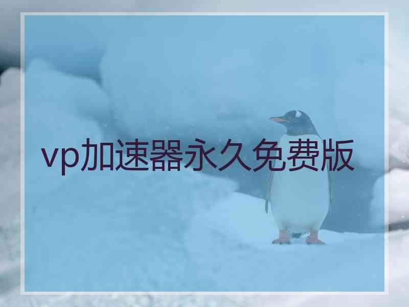 vp加速器永久免费版