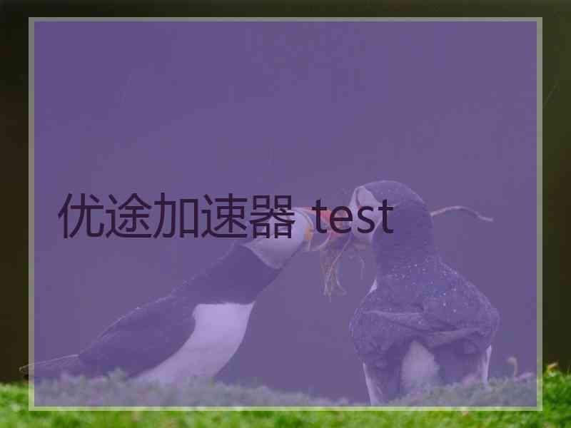 优途加速器 test